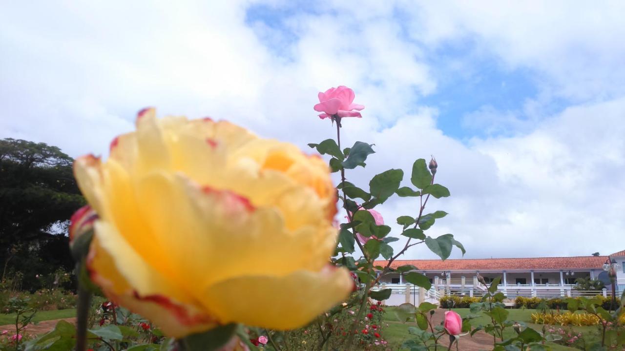 Hotel Fazenda Retiro Das Rosas Ouro Preto  Ngoại thất bức ảnh
